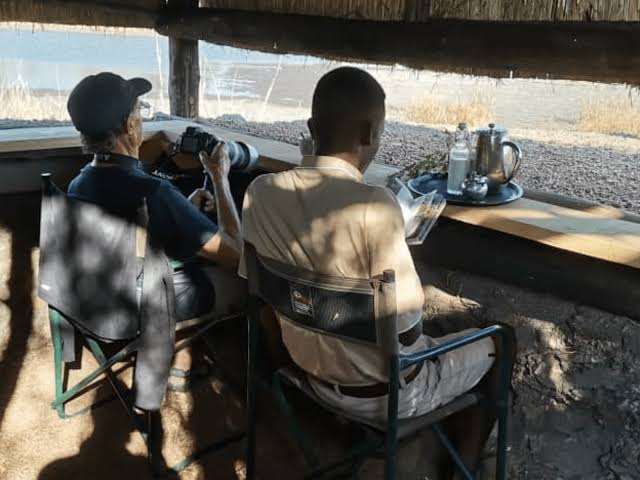 Game Viewing Hides