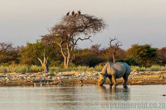 Goas Waterhole