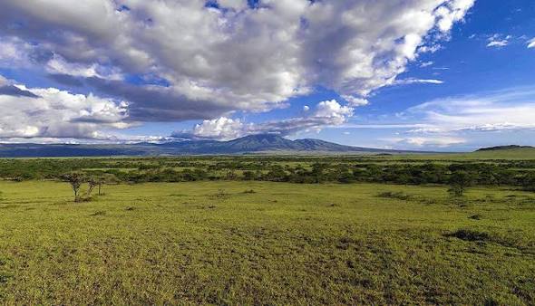 Gol Mountains
