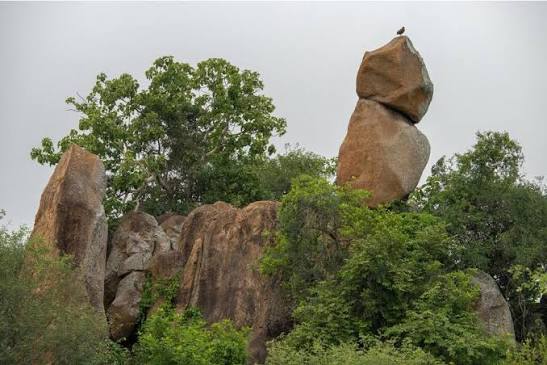 Granite Outcrops​