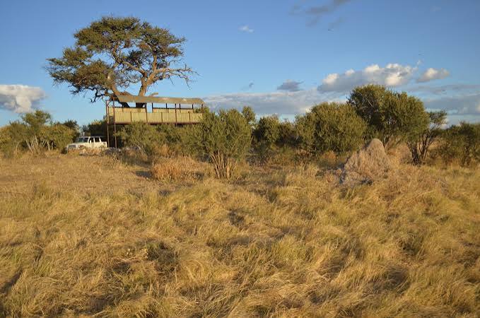 Groot Laagte Area
