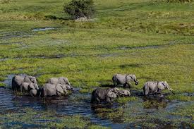 Hidden Waterhole Gallery