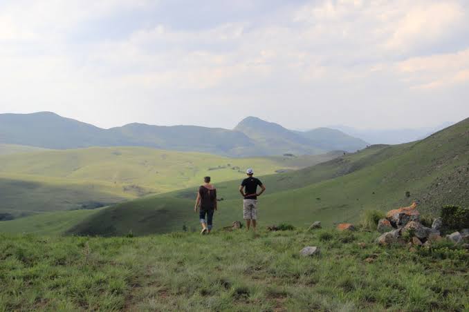 Highveld Grasslands