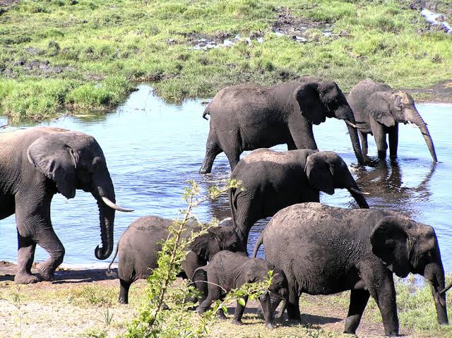 Hluhluwe-Imfolozi Park