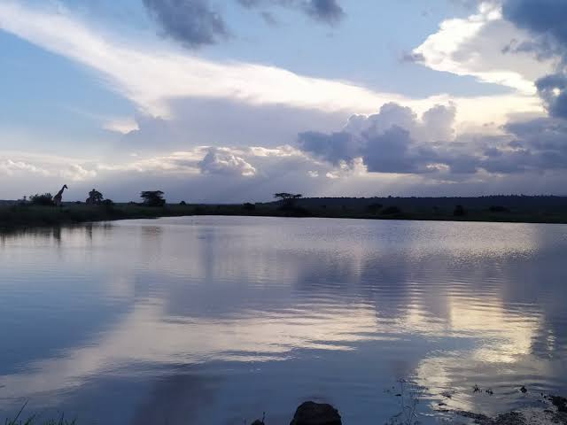 Hyena Dam