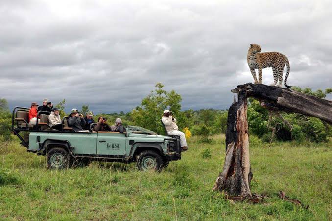 Idube Game Reserve