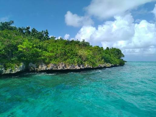 Île aux Aigrettes