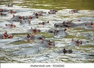 Ishasha River