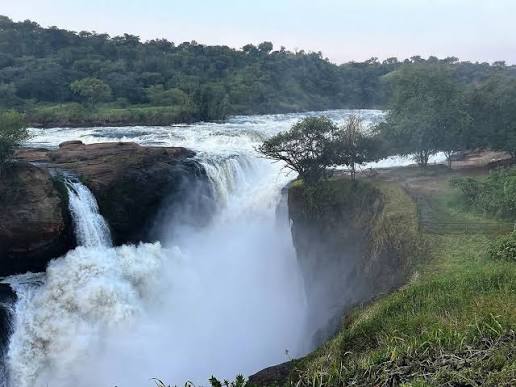 Kabalega Falls Viewpoint
