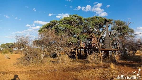 Kameeldoring Plains