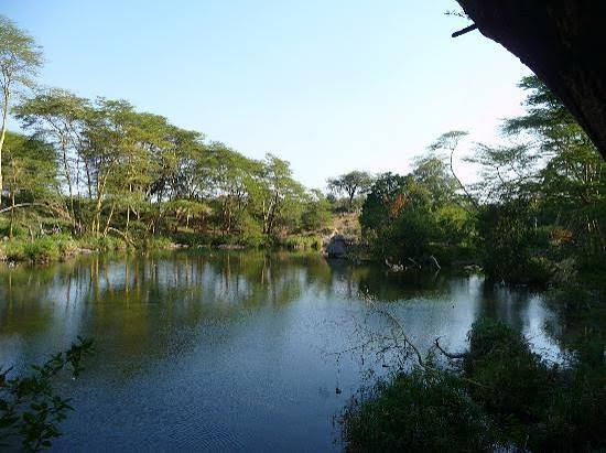 Kanderi Swamp