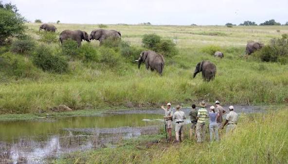Kapama Private Game Reserve