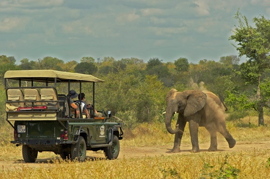 Kapama Private Game Reserve (Nearby)