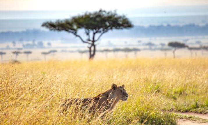 Kasenyi Plains