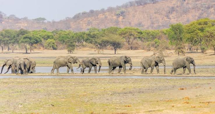 Kasungu National Park