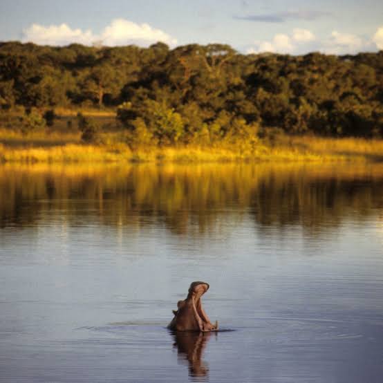 Kasungu National Park