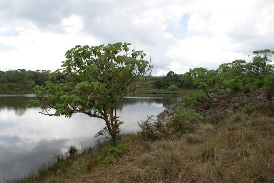 Kaulime Pond