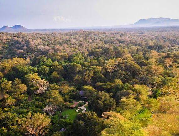 Kibwezi Forest