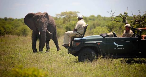 Kruger National Park