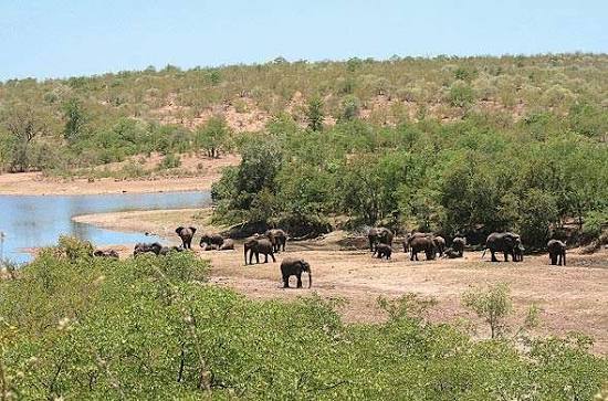 Kruger National Park (Northern Region)