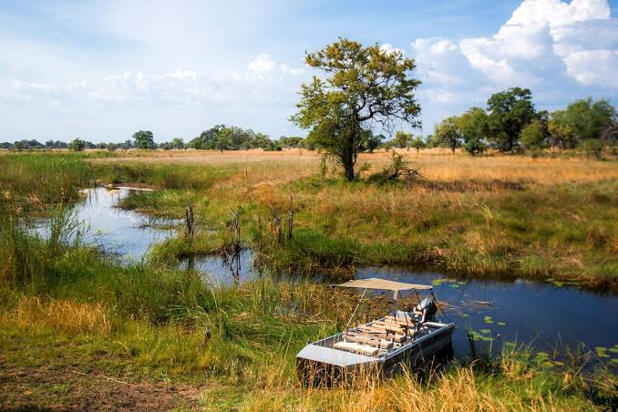 Kwandu Conservancy