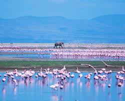 Lake Amboseli