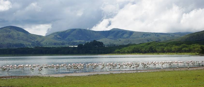 Lake Naivasha