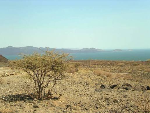 Lake Turkana (Accessible Region)