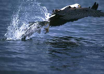 Lake Victoria