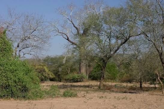 Lengwe National Park Core Area