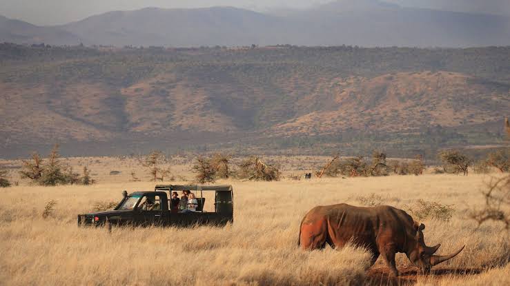 Lewa Wildlife Conservancy