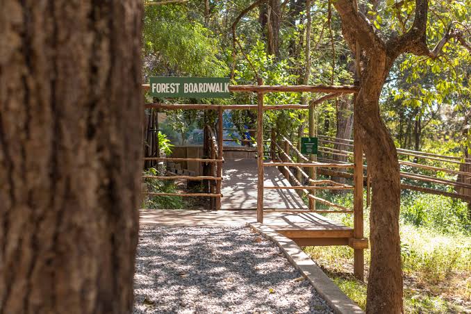Lilongwe Wildlife Centre (Nearby)