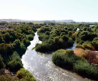 Limpopo River Forest
