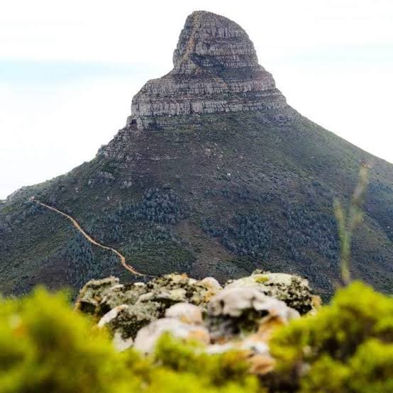 Lion's Head