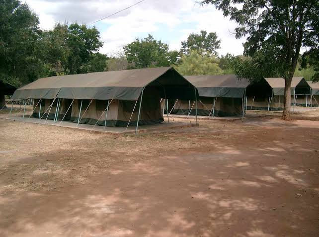 Local Fishing Camps