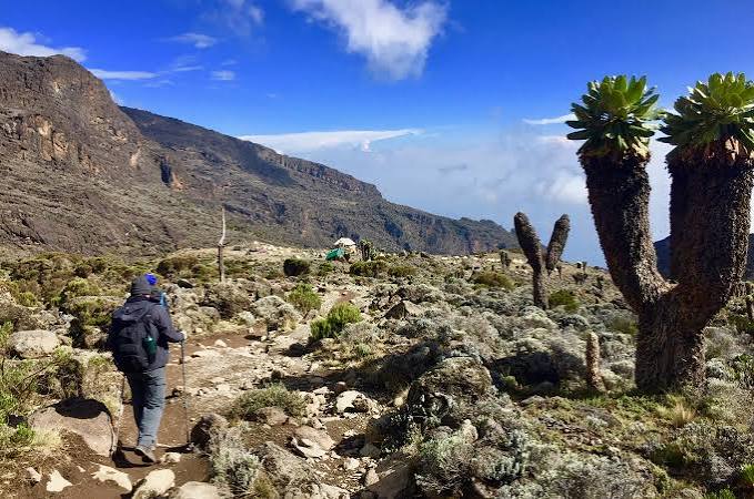Machame Route