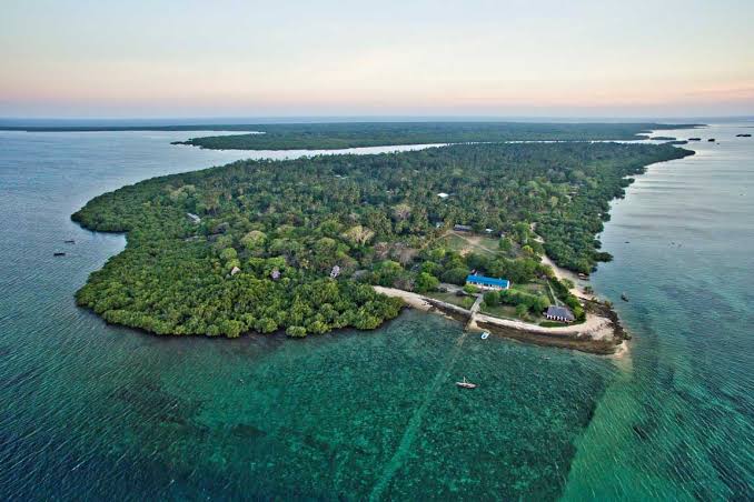 Mafia Island Marine Park