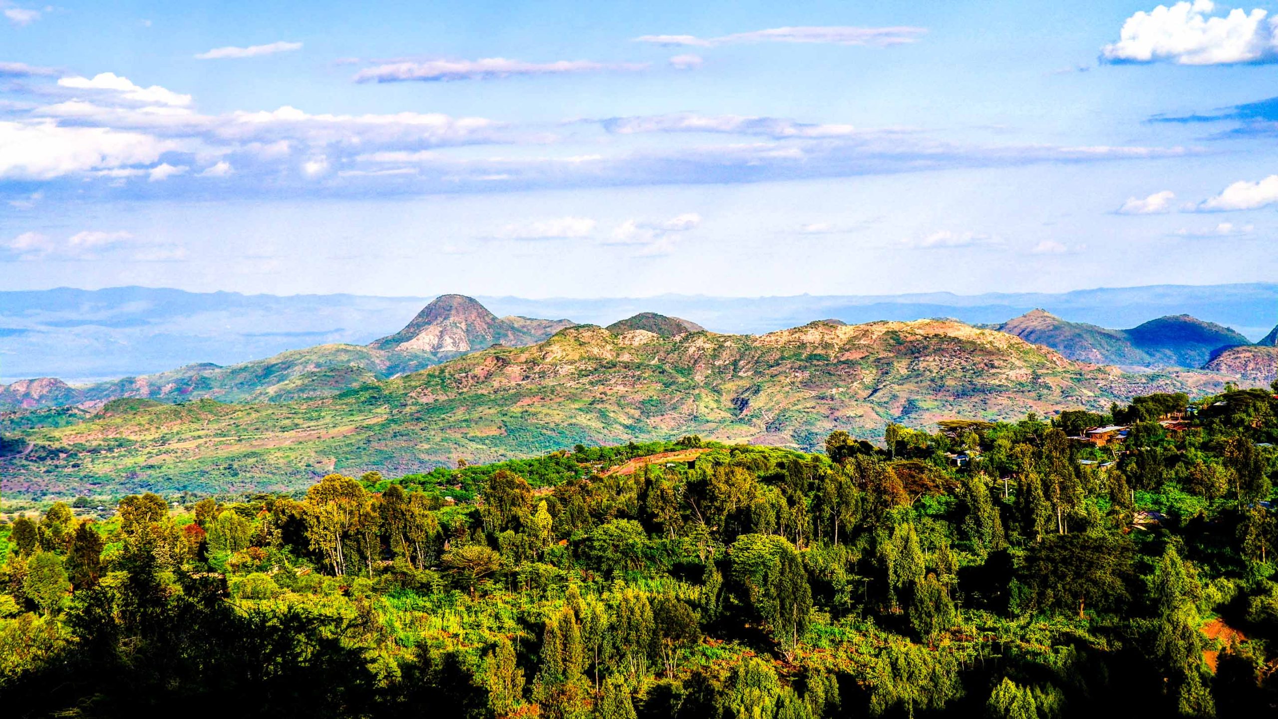 Mago National Park