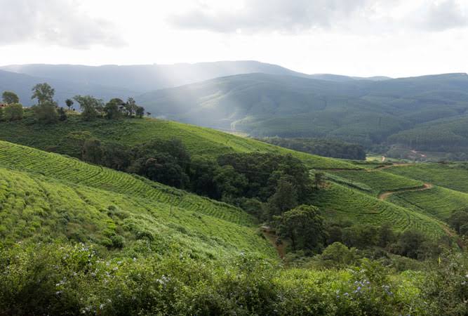 Magoebaskloof