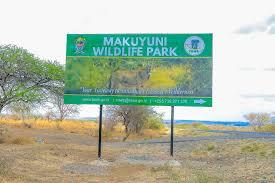 Makuyuni Gate