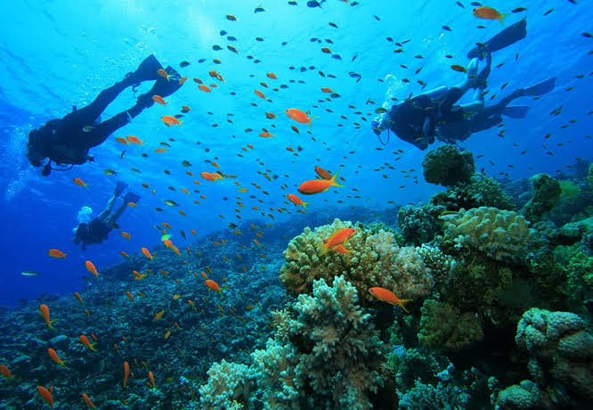 Malindi Marine National Park