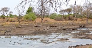 Maloutswa Pan Hide