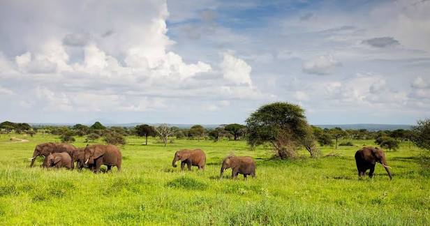 Manyeleti Game Reserve