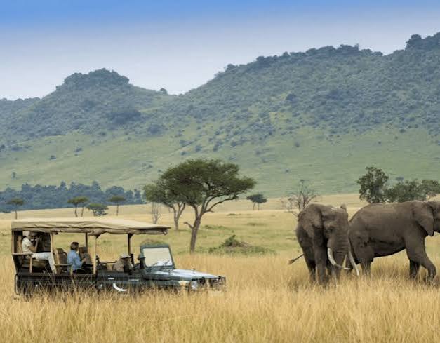 Mara North Conservancy