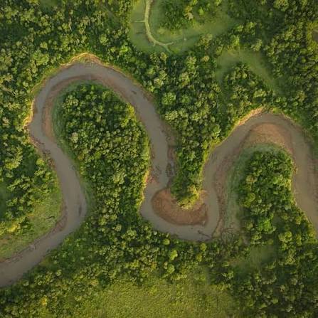Mara River