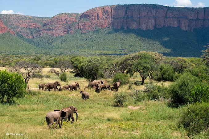 Marakele National Park