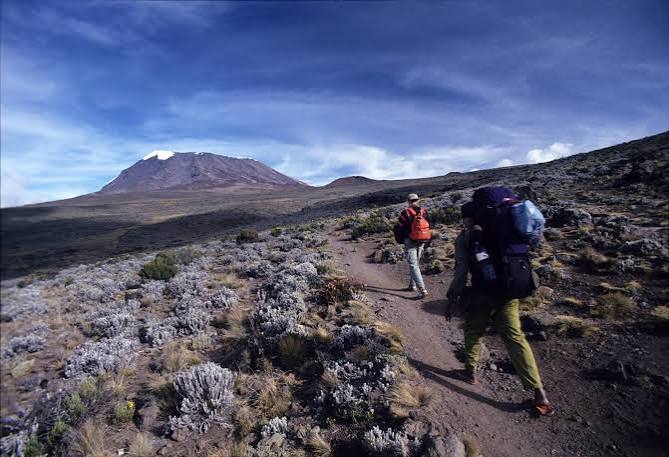 Marangu Route