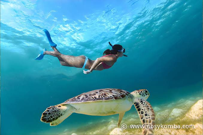 Marine Snorkelling Spots