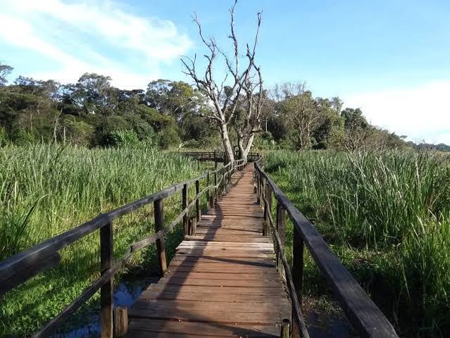 Marshland Overlook Tower