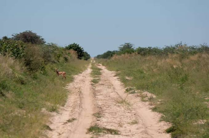 Matswere Gate Area